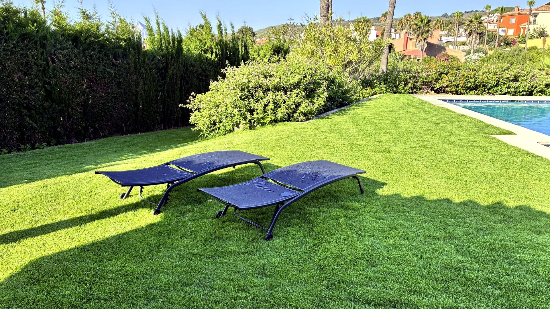 Garden with sun loungers